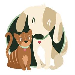 Blue Mountains Pet Resort