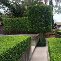Carters Exclusive Landscapes