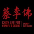 Choy Lee Fut Kung Fu