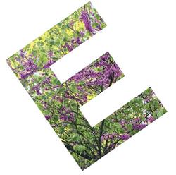 Eckersley Garden Architecture