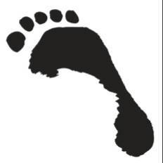 Matthew Evans Podiatry and Sports Services