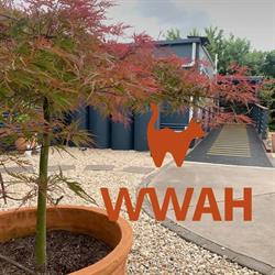 Weston Animal Clinic & Hospital