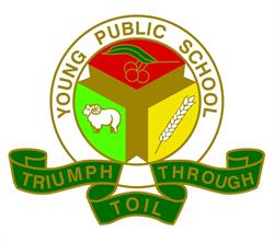 Young Public School