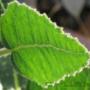 Uploaded by visitor on 8/1/2016 - Perth Home Cleaners