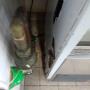 Commercial Kitchen Clean | Before Photos