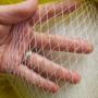 anti-bird netting
