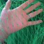 bird netting