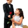 Flower Deliveries Online