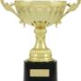 Trophies & cups for sporting and social clubs