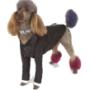 Dog Grooming