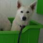 Boz enjoying a 'Clean Me Up' spa treatment