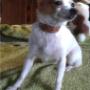 Bubbles after having her toenails clipped