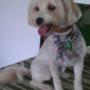 Molly after 'The Works' spa treatment