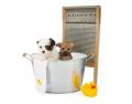 The 'Clean Me Up' Spa Package