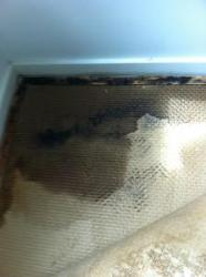 Water Damage Melbourne