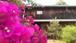 Waterwheel Gallery