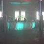 MTV Party