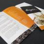 Flyers / Brochures