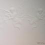 Uploaded by visitor on 12/12/2016 - Damage ceiling fix