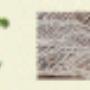 Eco Soil saver