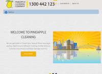 Pineapple Cleaning Company