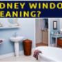 Sydnew window cleaner