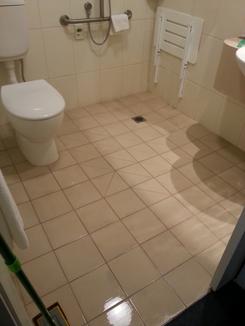 Aged-Care-Bathroom