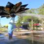 Gladstone Waterpark Sculpture