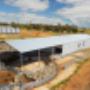 Shearing Shed