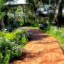 Brick paving and landscaping