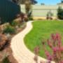 Complete back garden renovation