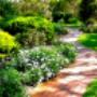 Curved path and landscaping