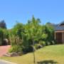 Driveway and landscaping