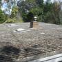 tiled roof cleaning