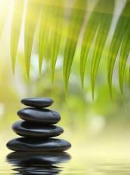 Zen N Tonic Health Centre