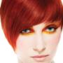Organic Hair Culture