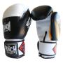 Training Boxing Gloves