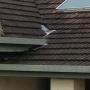 Roof tiles