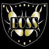 Boss Termites