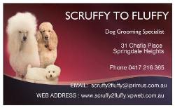 Scruffy 2 Fluffy