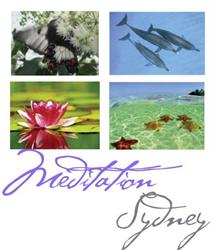 Meditation in Sydney
