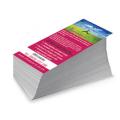 DL Flyers Printing