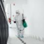 Expert Building & Pest Inspections in Brisbane