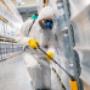 Expert Building & Pest Inspections in Brisbane