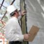 Expert Building & Pest Inspections in Brisbane