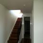 Painting and plastering