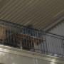 Awning Supplier