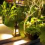 Landscape Maintenance