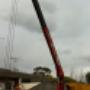crane