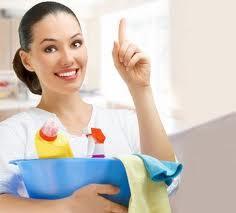 Pro Cleaners Sydney